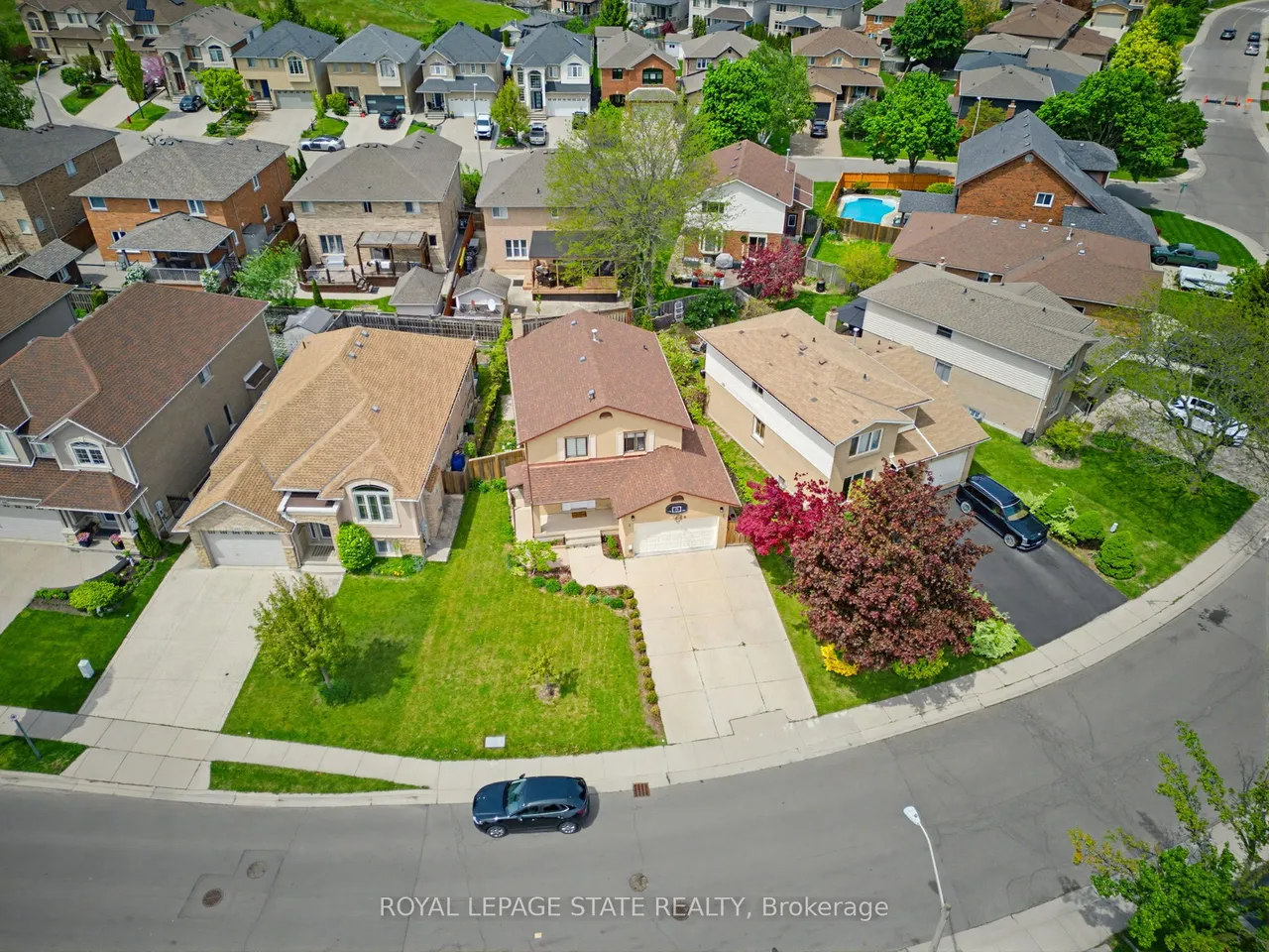 459 Dicenzo Drive — photo 3