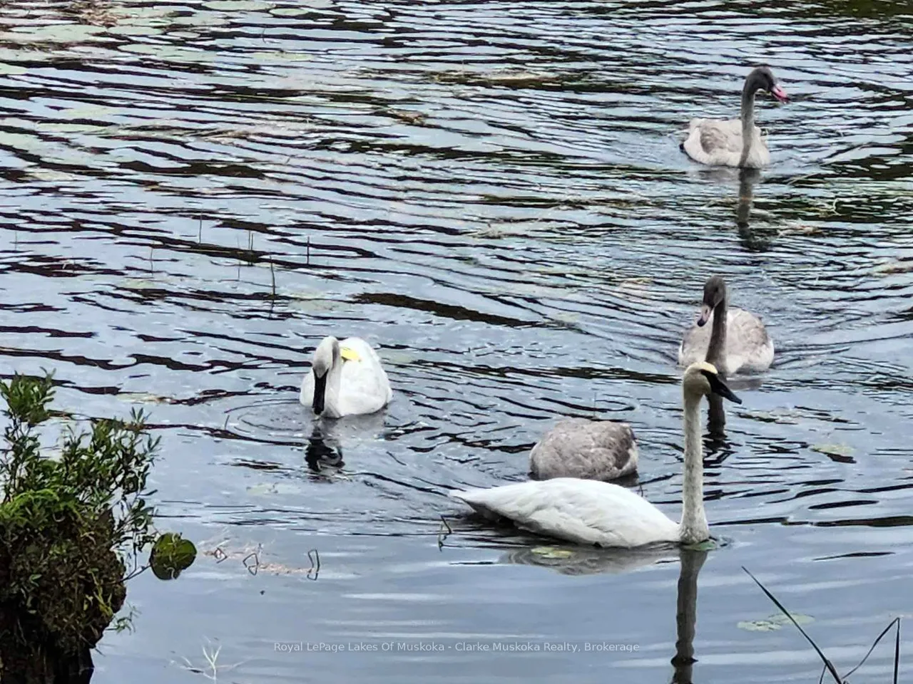 38 Island 130 Severn River — photo 40