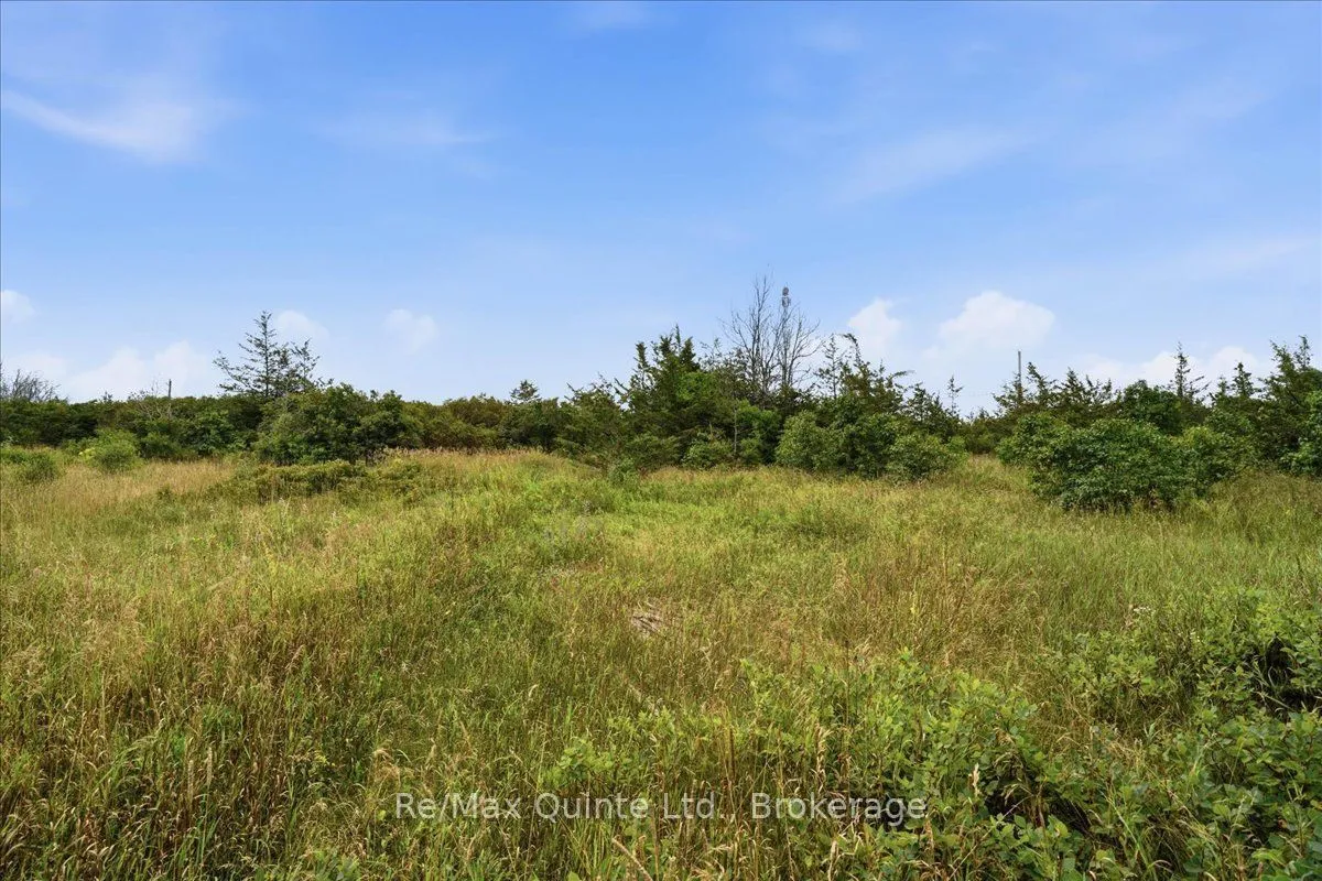 625 Babylon Road — photo 19
