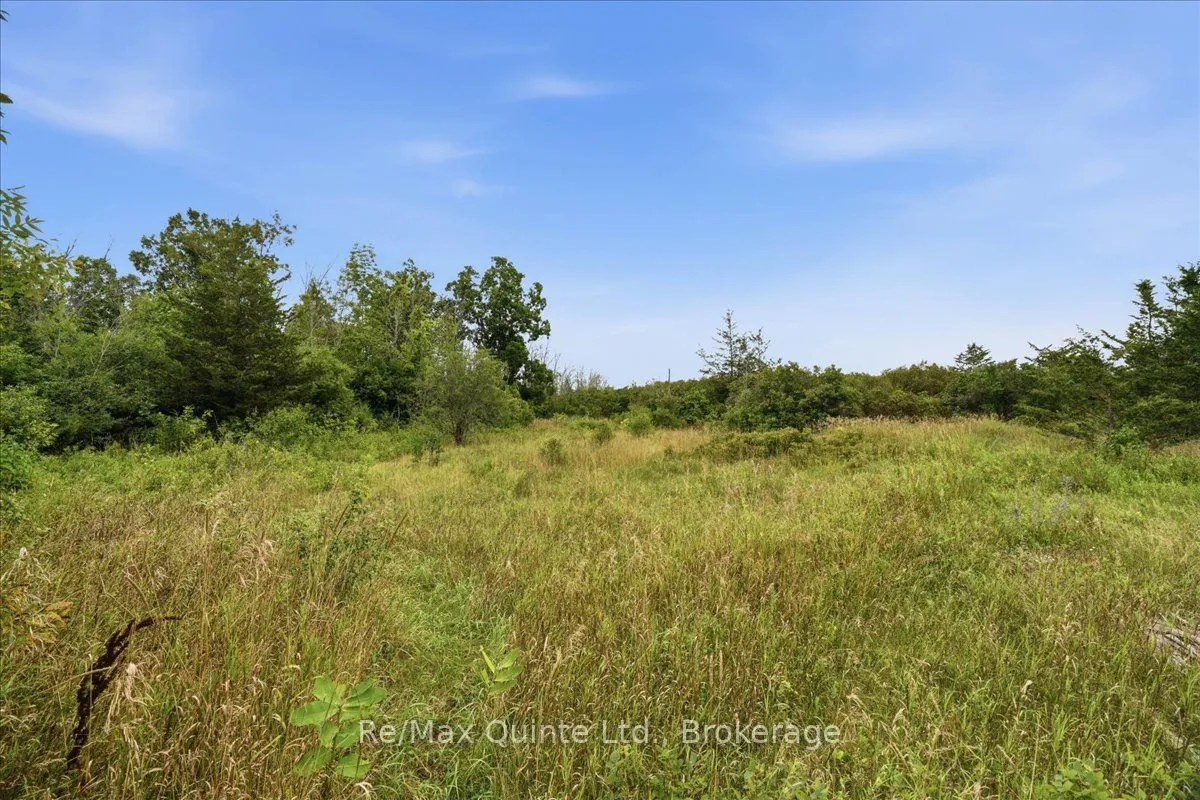 625 Babylon Road — photo 18