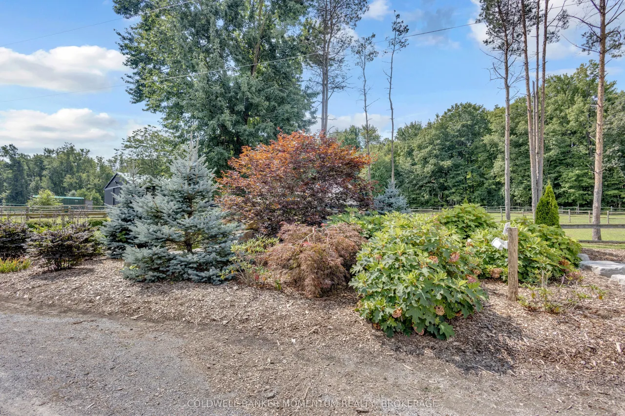 1684 4th Concession Road — photo 3