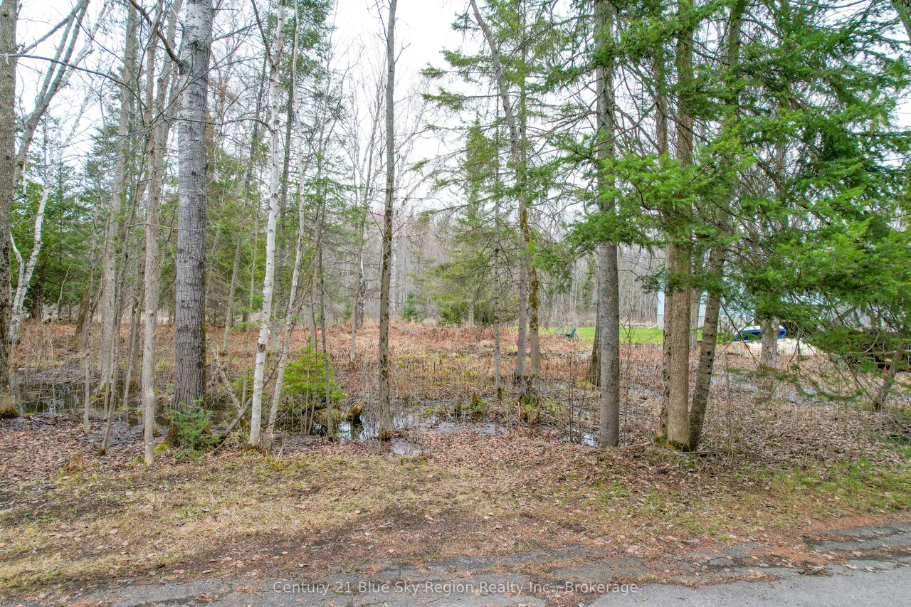 151 D RIVERBEND Road — photo 16