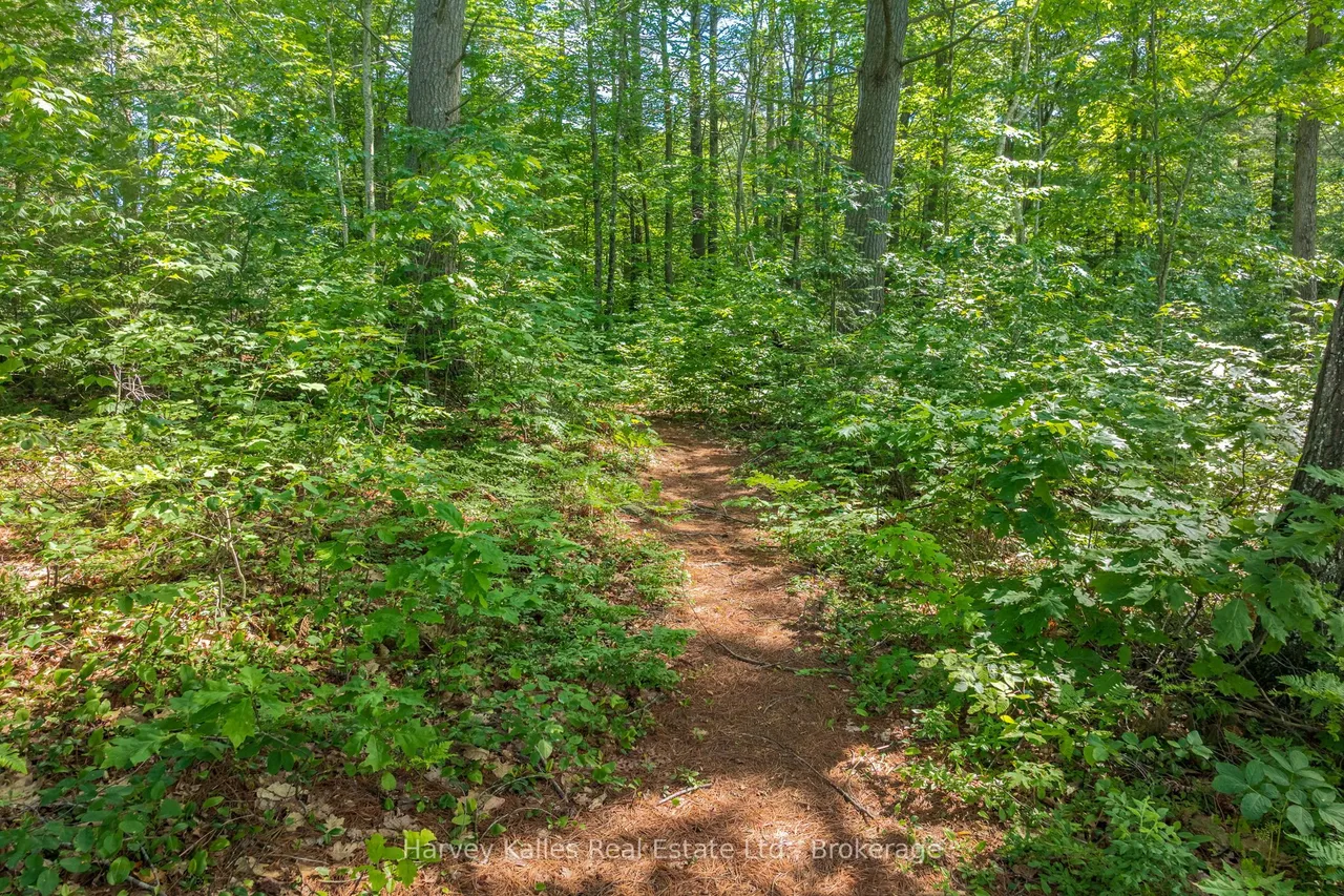 1059 Bona Vista Road — photo 47