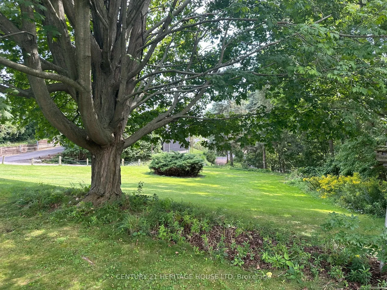 210 William Street N — photo 3
