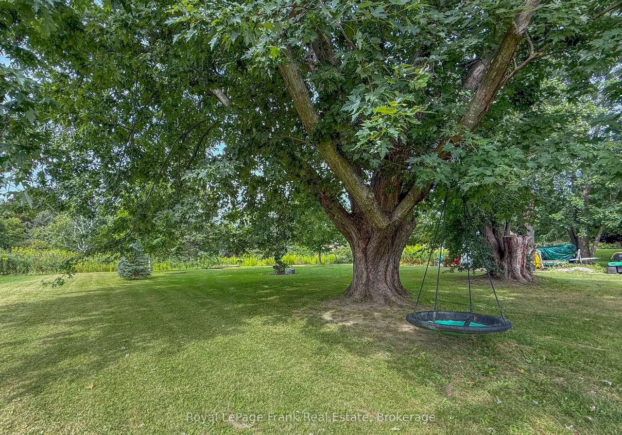 10 Chickadee Court — photo 39