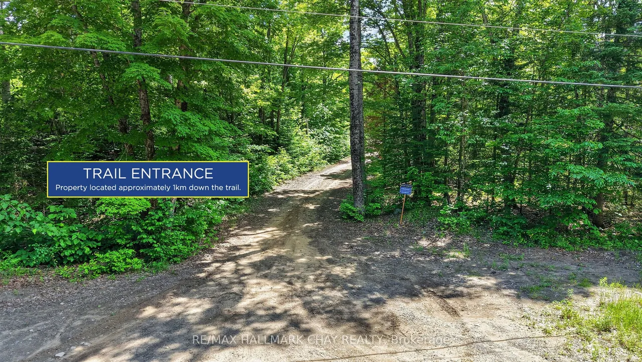 Lot 29 Concession 11 — photo 3
