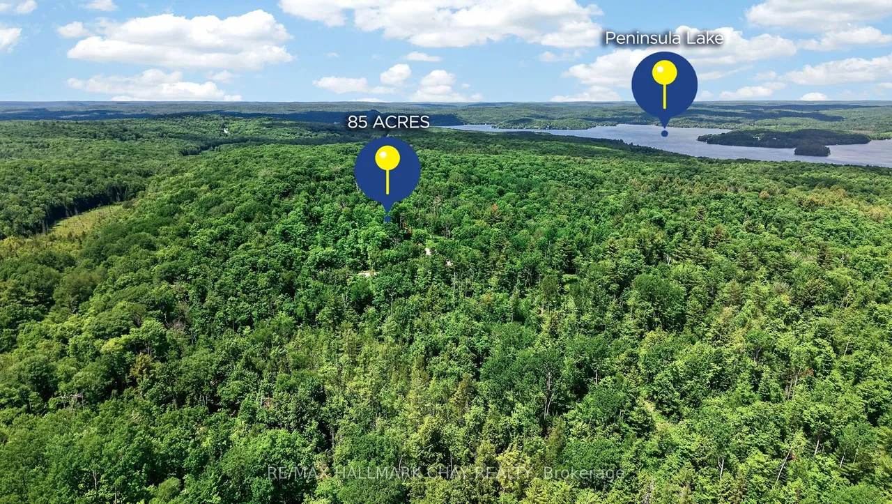 Lot 29 Concession 11 — photo 2