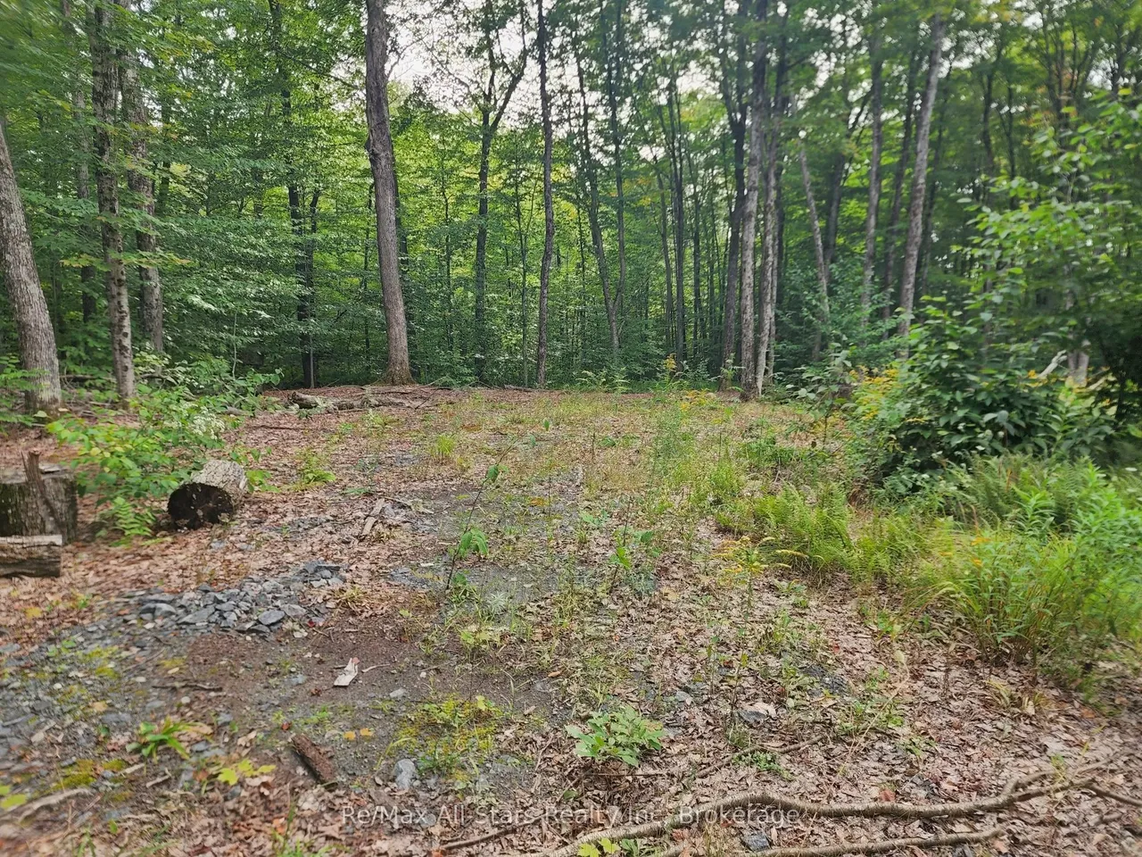 3480 Brunel Road — photo 3
