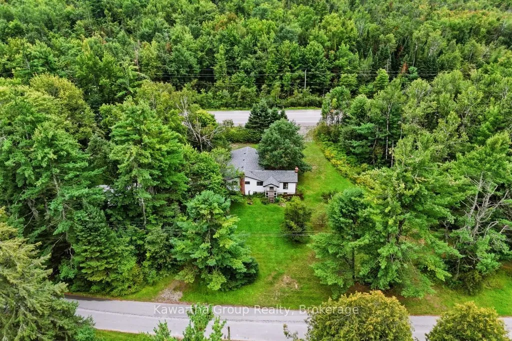 15 Cameron Road — photo 3