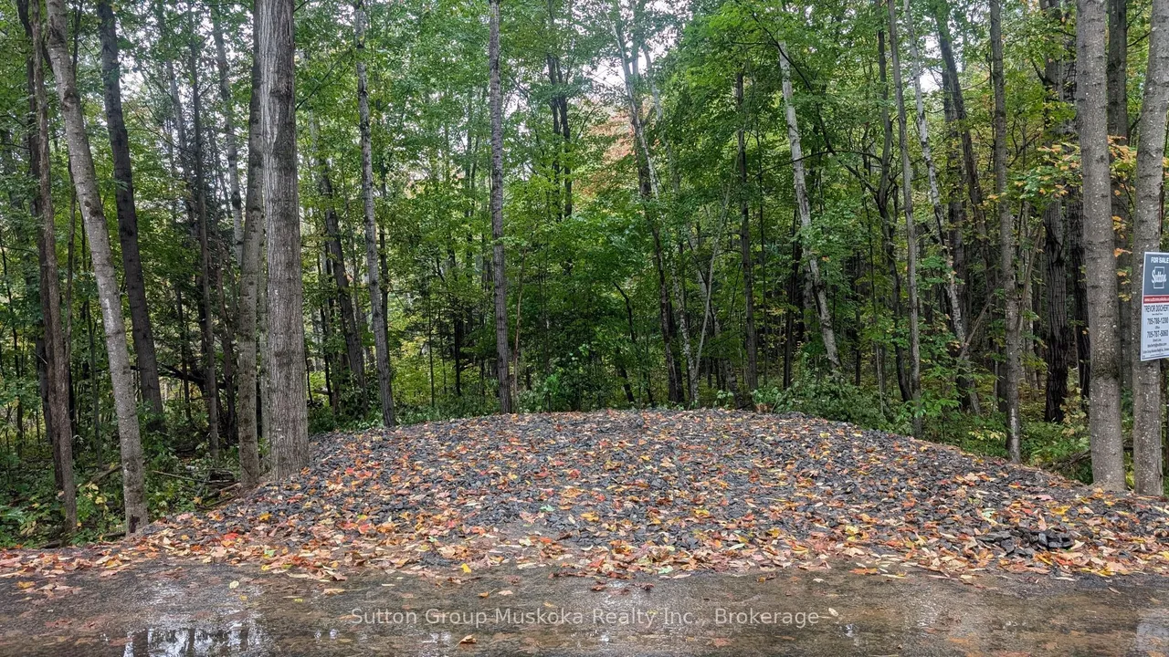 Lot 1 Tally-Ho Winter Park Road — photo 2