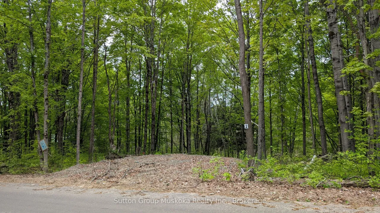 Lot 2 Tally-Ho Winter Park Road — photo 2