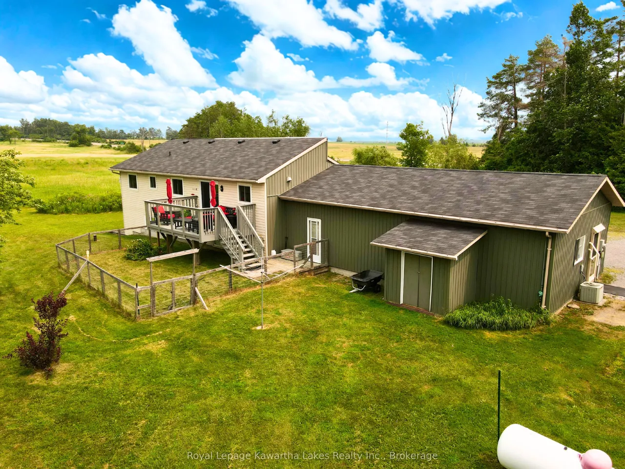 2541 COUNTY ROAD 36 Road — photo 3