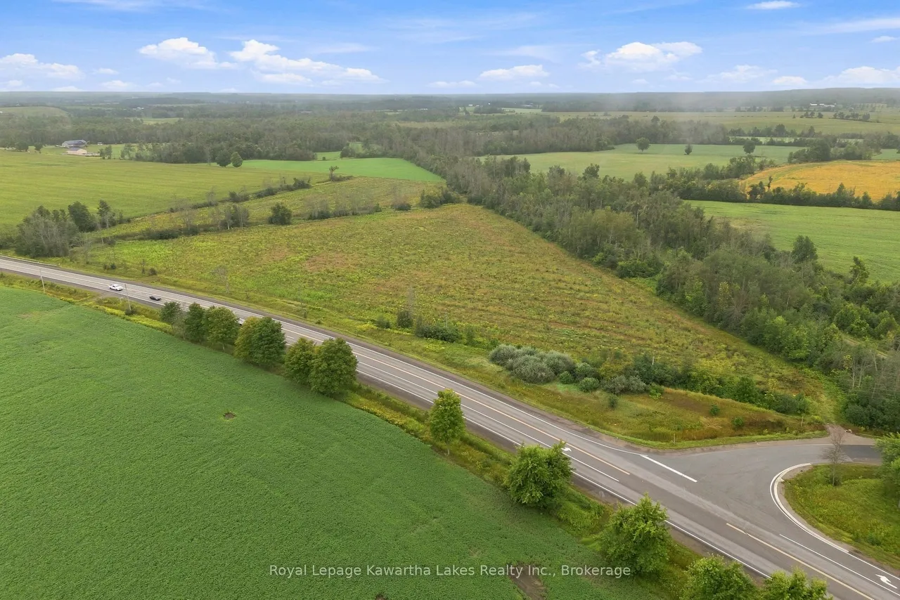 Pt Lt 10 8 Concession — photo 3