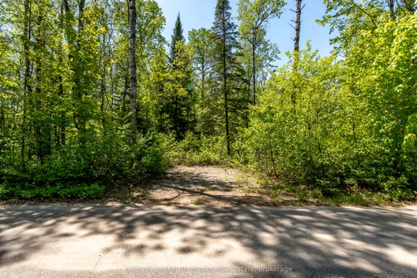 Part 4 Spring Lake Road
