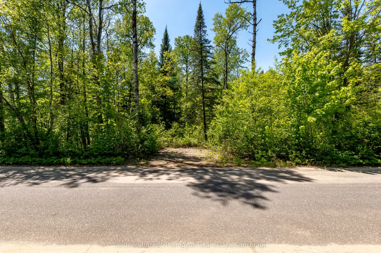 Part 4 Spring Lake Road — photo 3