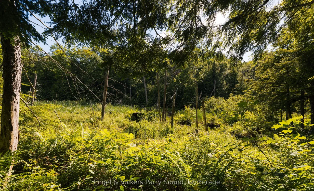 15 Beechwood Drive — photo 42