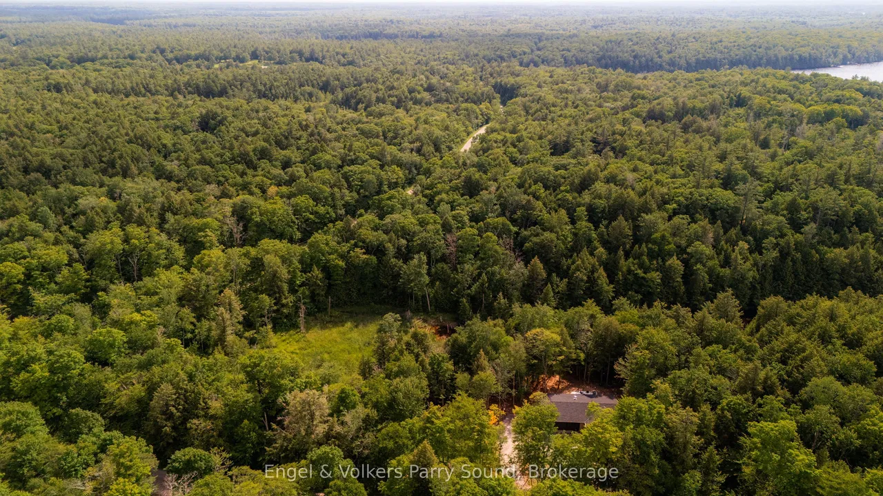 15 Beechwood Drive — photo 43