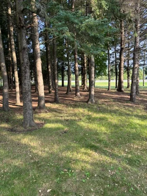 1847 Hwy 3 — photo 3