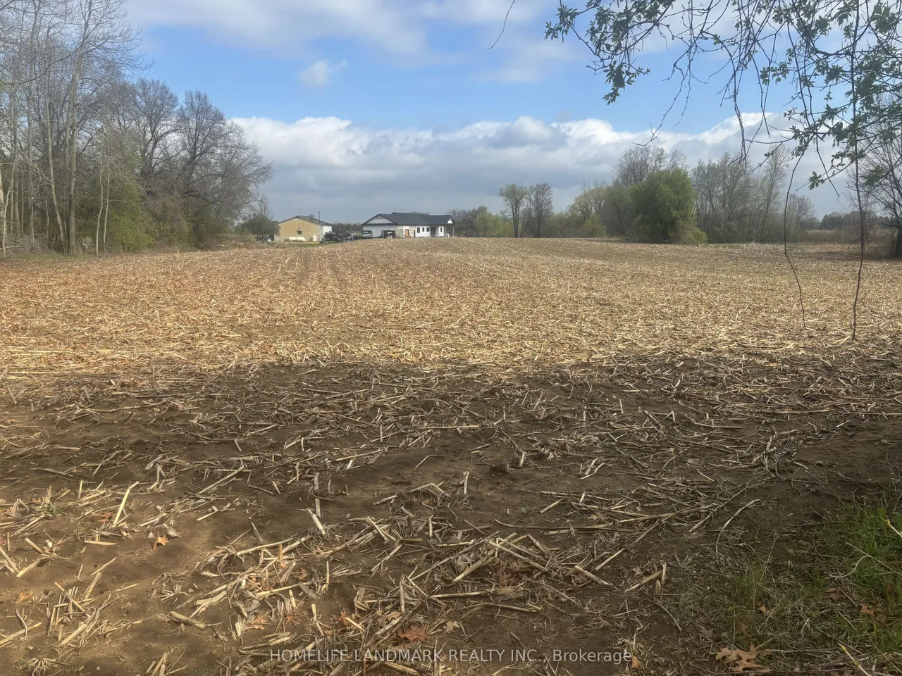 18 Burford-Delhi Townline Road — photo 3