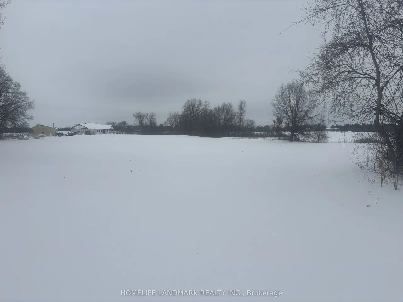18 Burford-Delhi Townline Road — photo 24