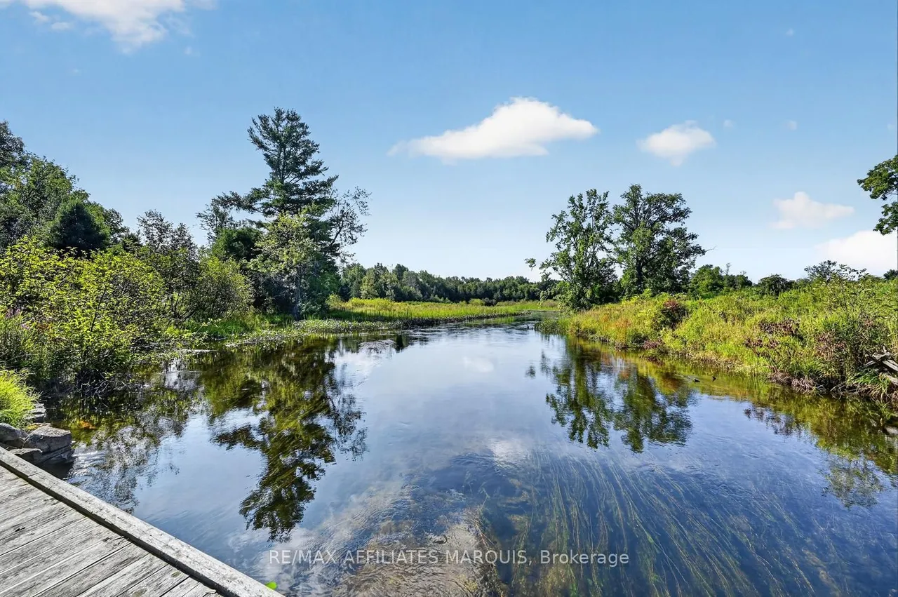 919 Upper Scotch Line Road — photo 49