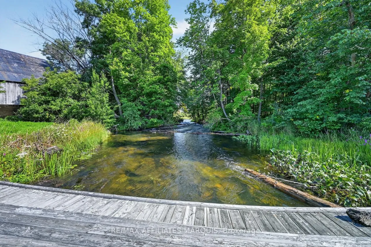 919 Upper Scotch Line Road — photo 50