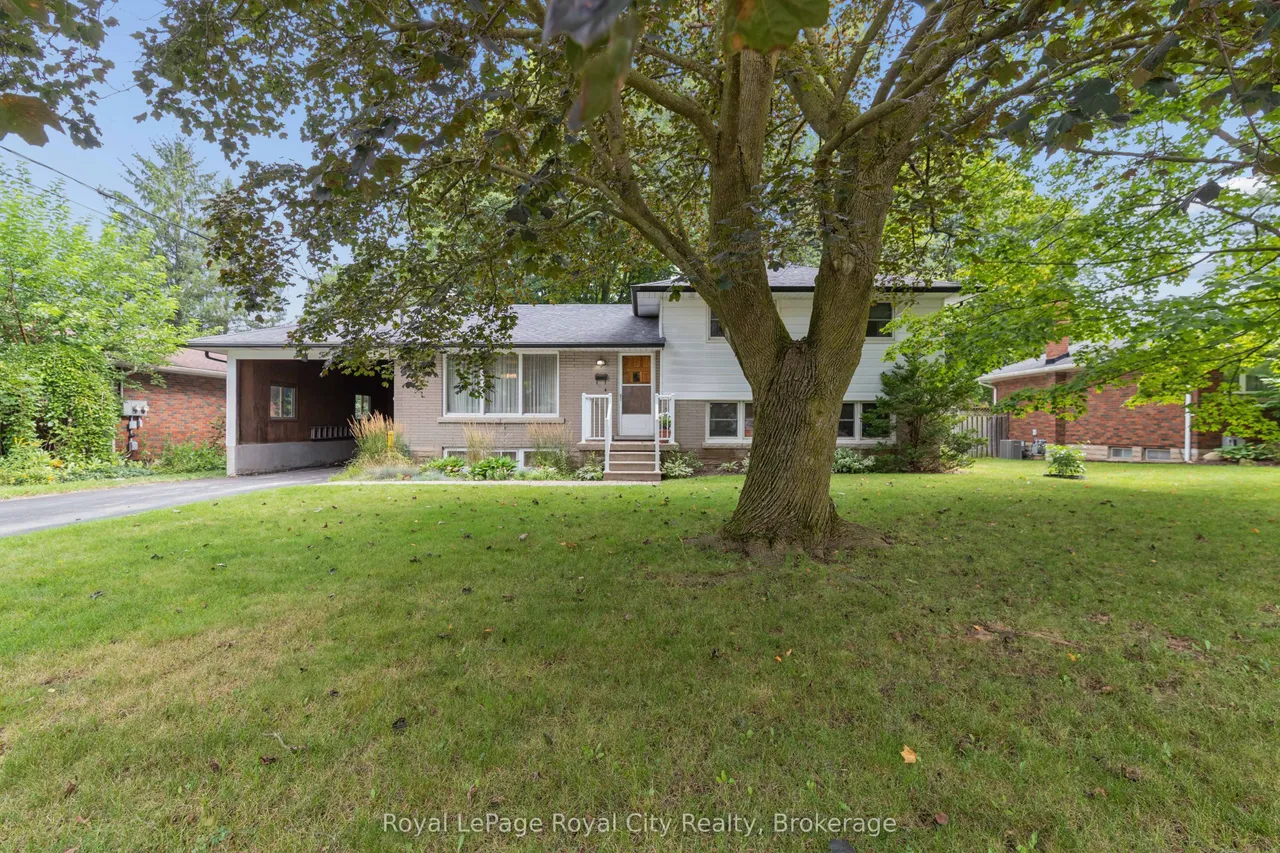 62 Rodney Boulevard