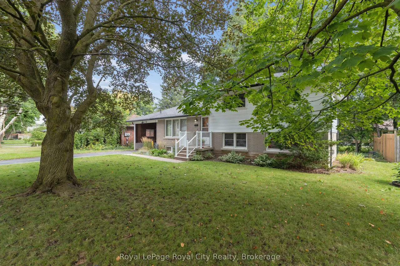 62 Rodney Boulevard — photo 2