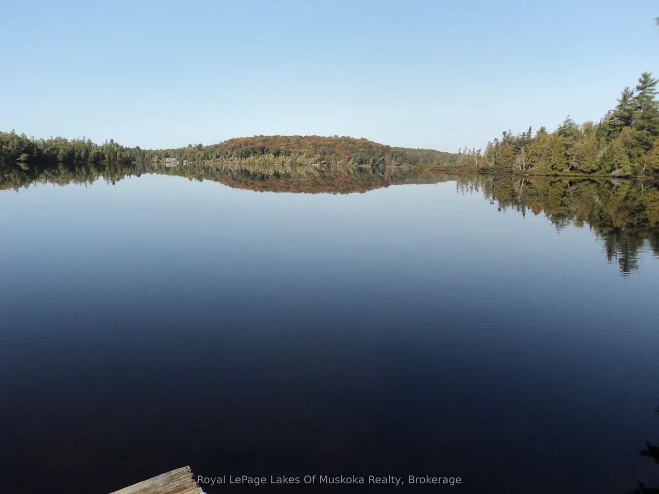 1071 Dotty Lake Road