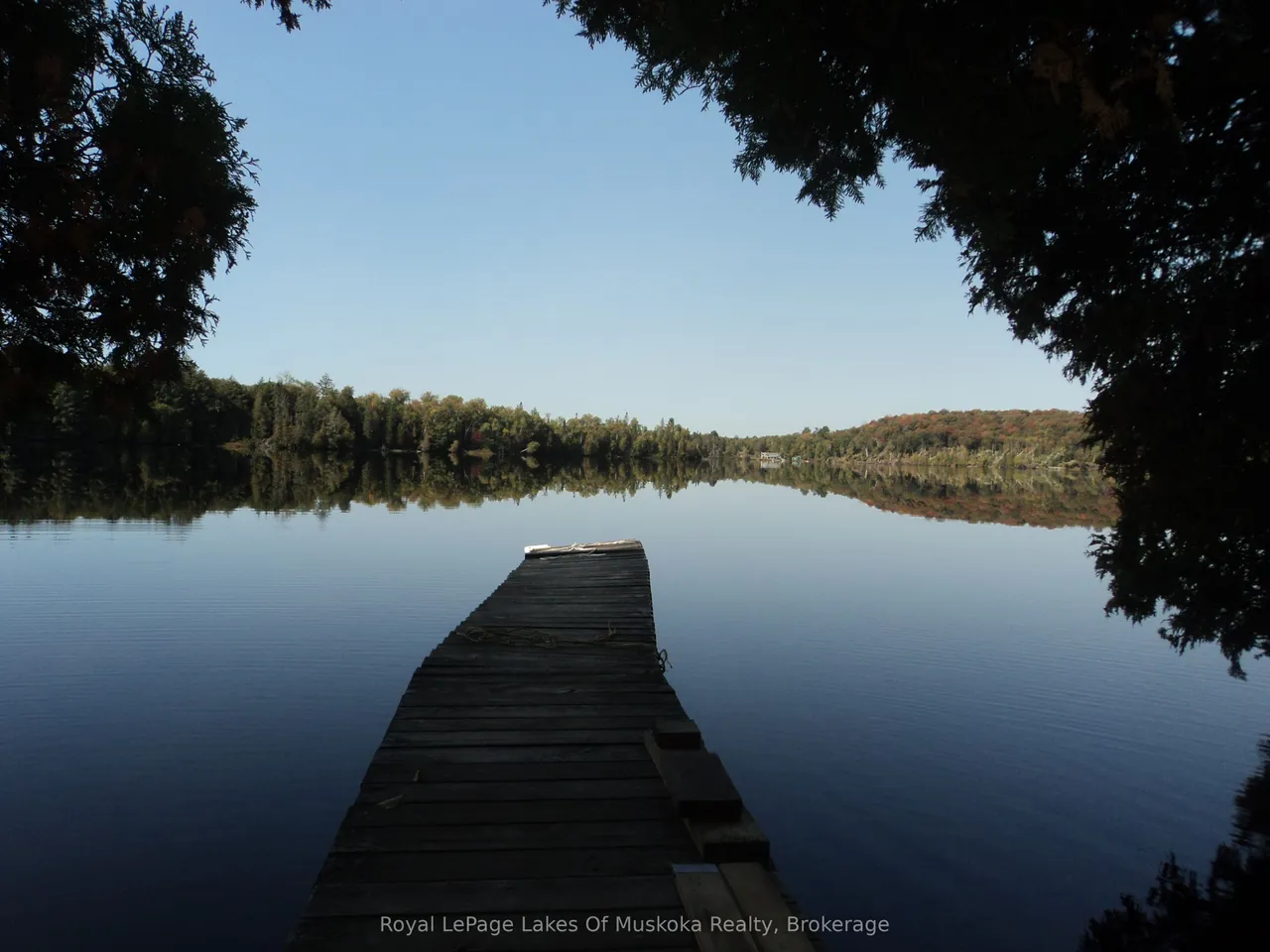1071 Dotty Lake Road — photo 3
