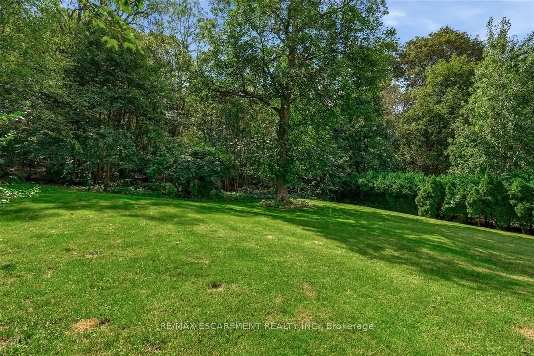 79 Amelia Street — photo 49