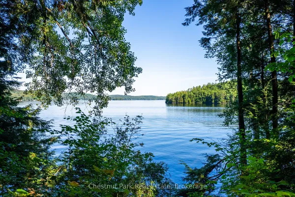 4339 Muskoka Road 117 Road — photo 2