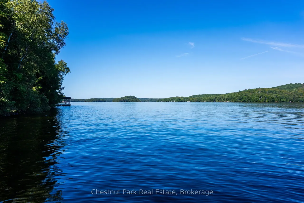 4339 Muskoka Road 117 Road — photo 31