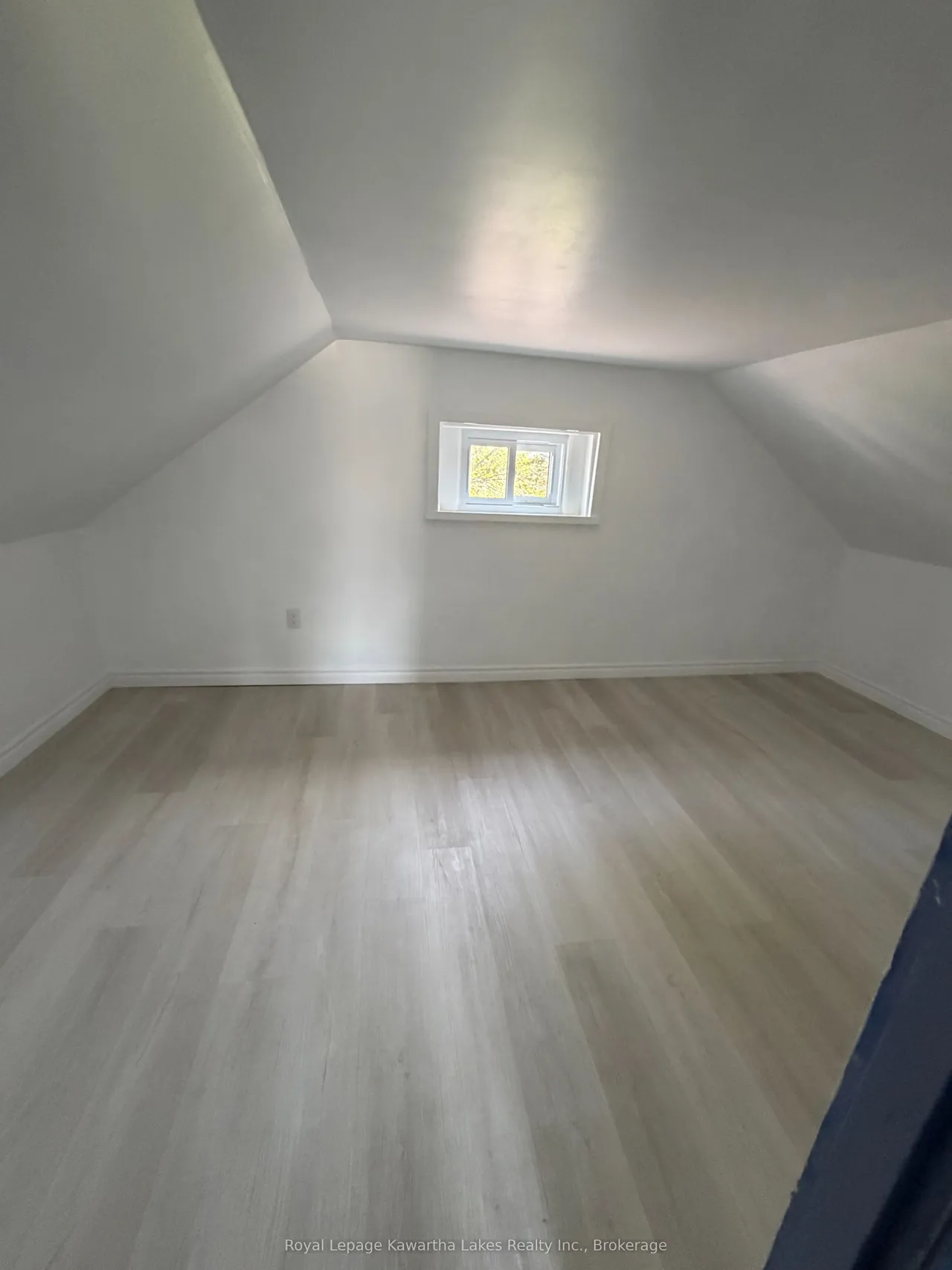 67 Murray Street — photo 11