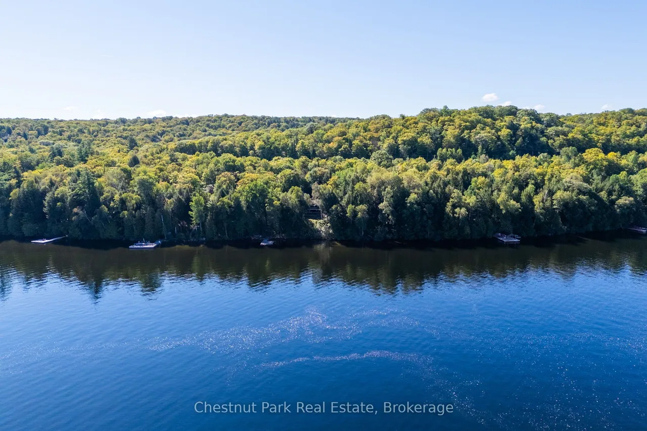 4339 Muskoka Road 117 Road — photo 3