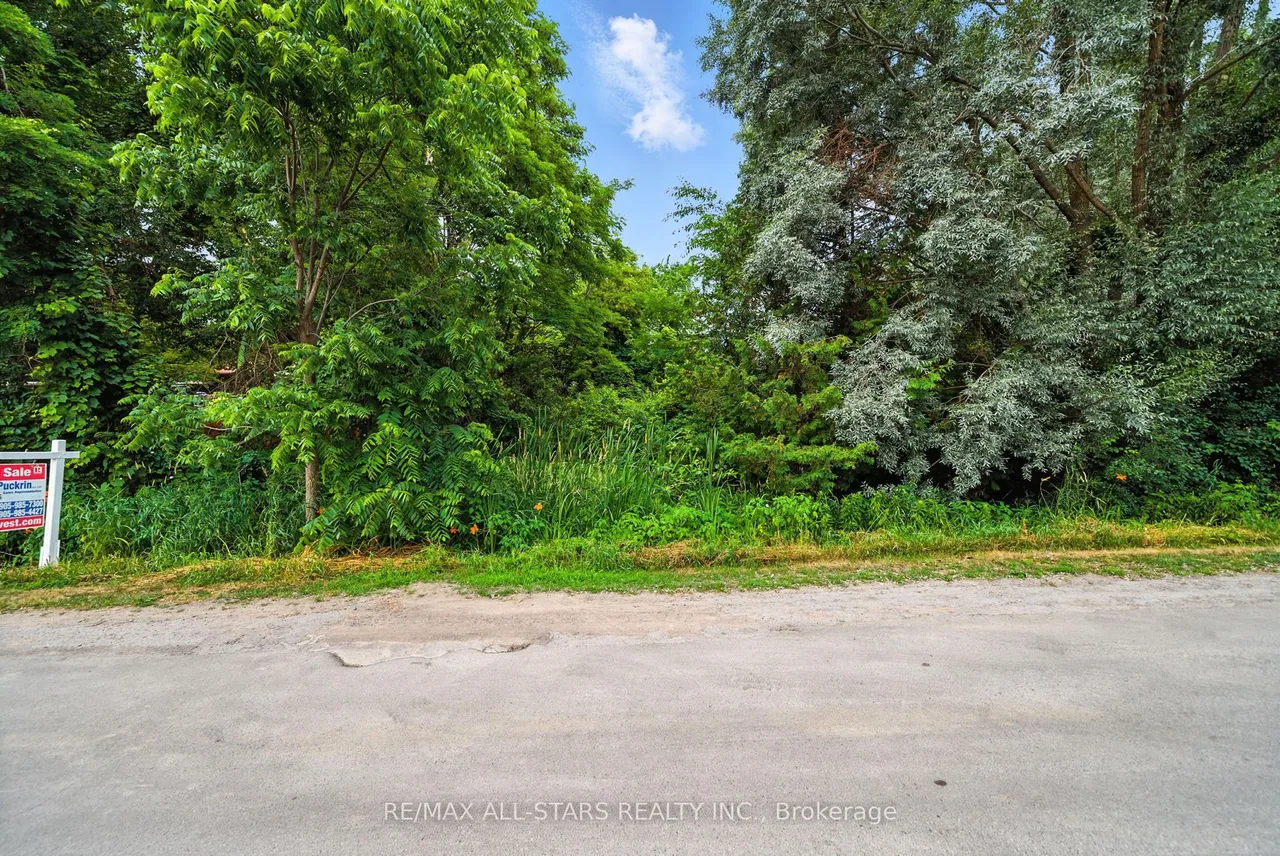 Lot 61 Summer Drive — photo 2