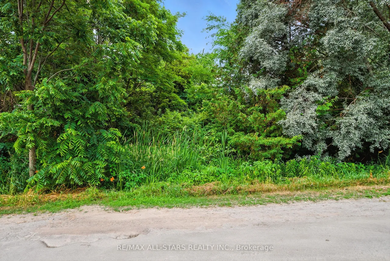 Lot 61 Summer Drive — photo 3