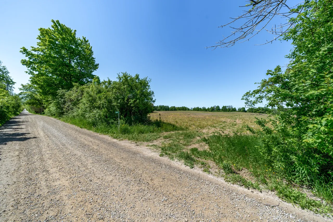 383 Chase Road — photo 8