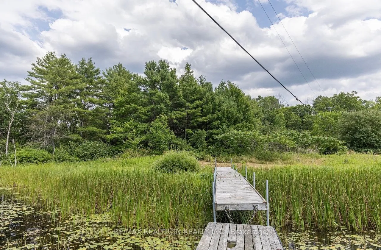 13610 Georgian Bay Shore — photo 12
