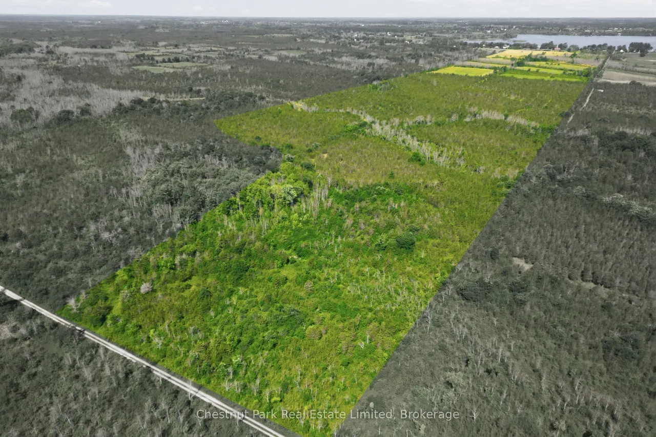 2650 County Road 13 — photo 3