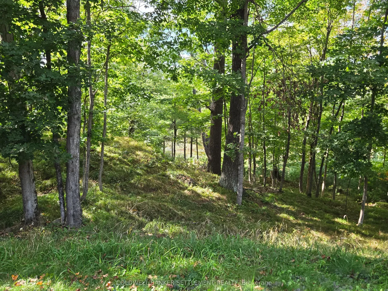 254 Lakewood Road — photo 42