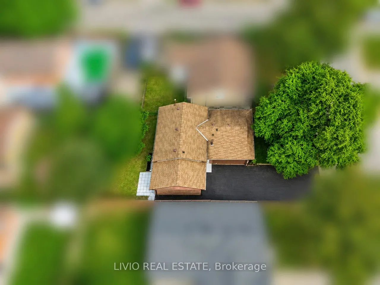 78 Cromwell Crescent — photo 33