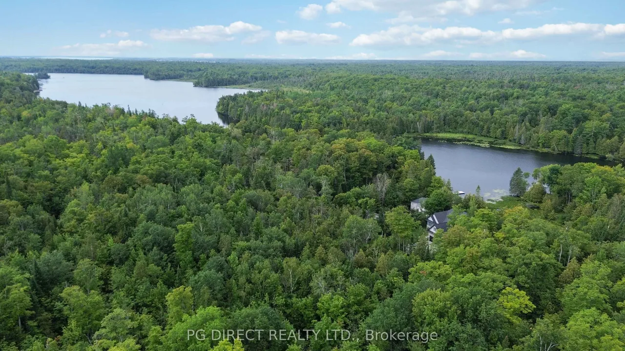 78 Everett Road — photo 27