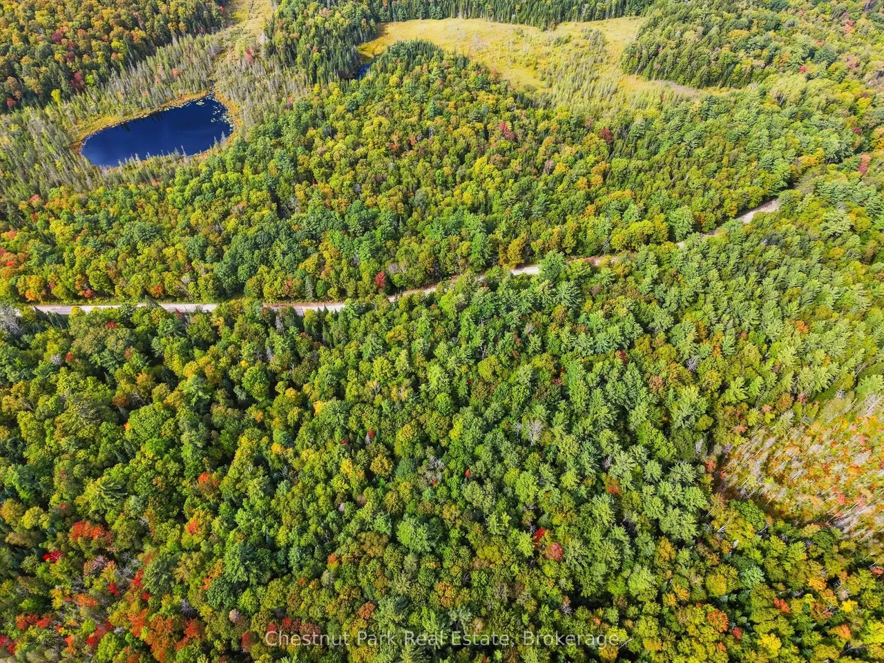 00 Paint Lake Road