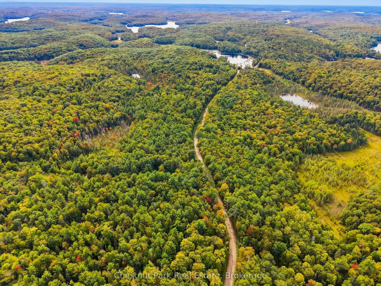 00 Paint Lake Road — photo 13