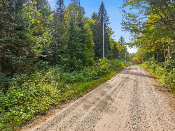 00 Paint Lake Road — photo 2