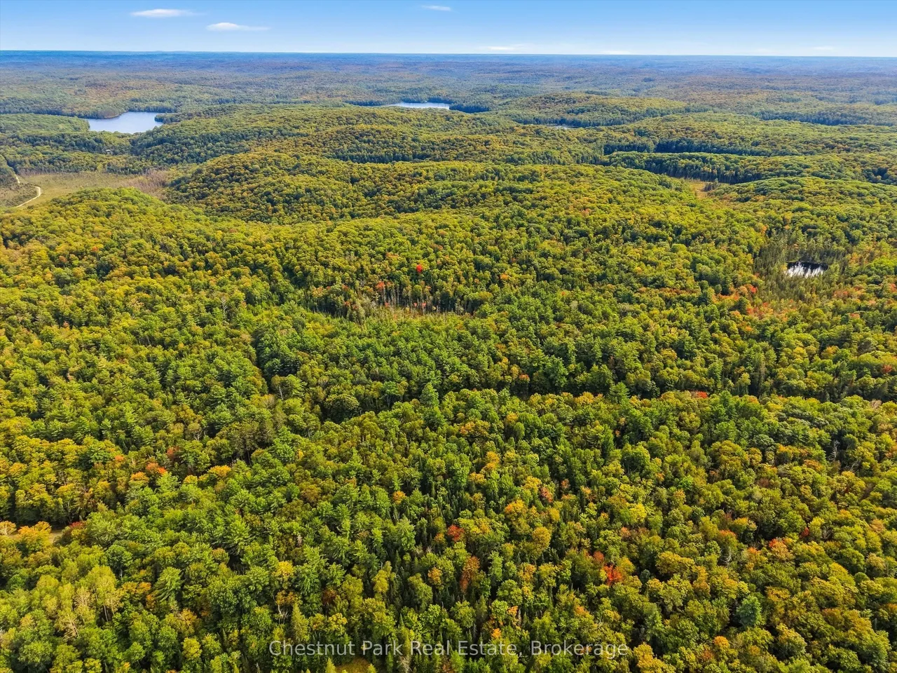 00 Paint Lake Road — photo 12
