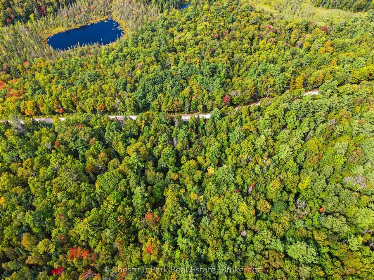 00 Paint Lake Road — photo 3