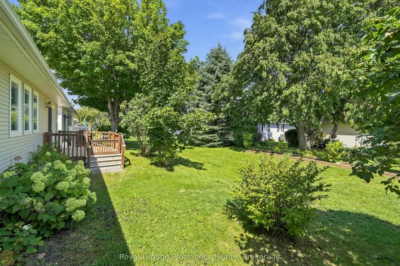 11 Monroe Court — photo 19