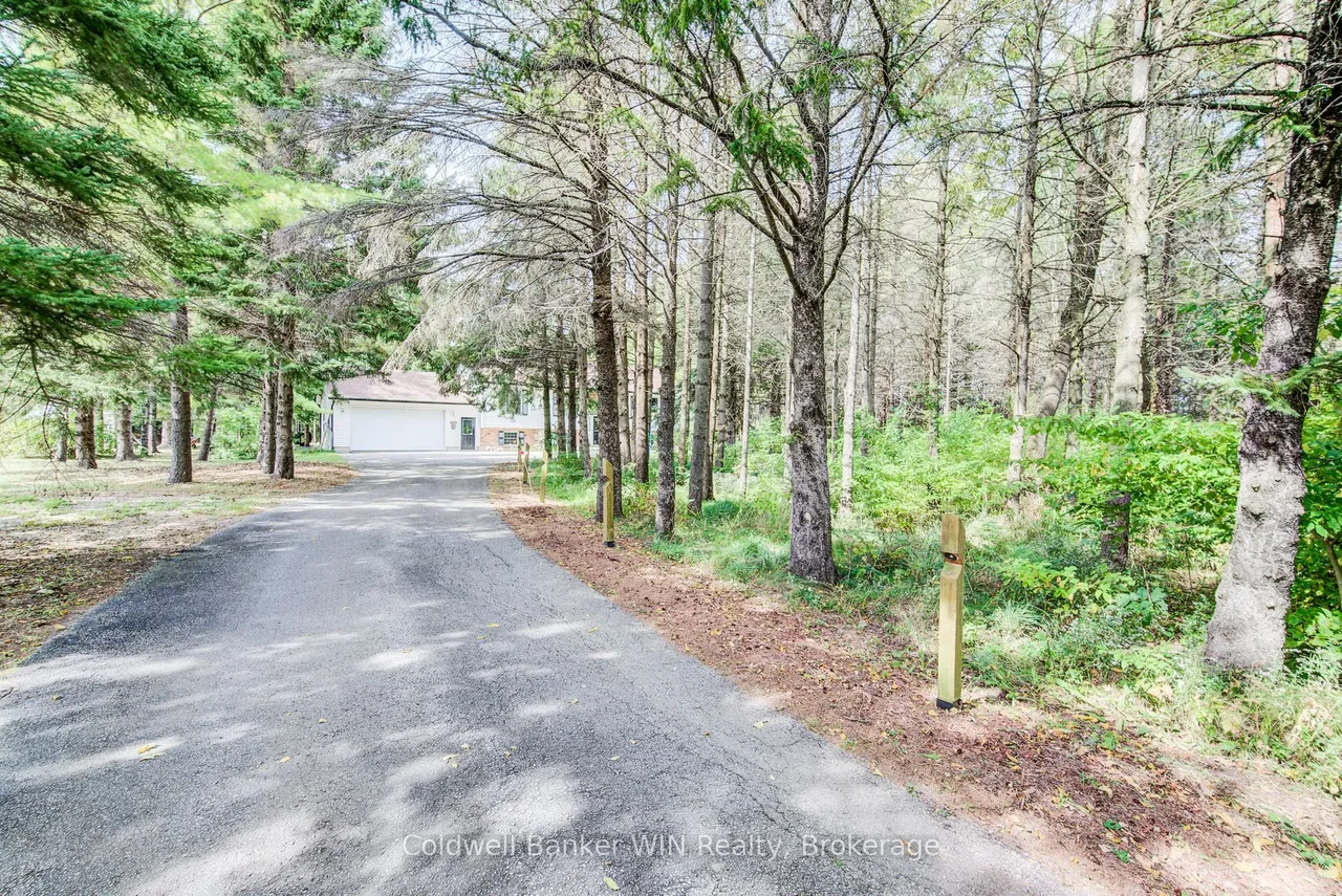 7356 Sideroad 12 — photo 48